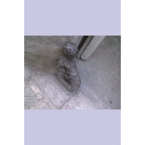 Círculo naranja (Paperback)