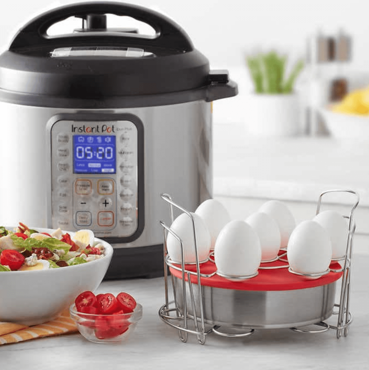 instant pot instant pot