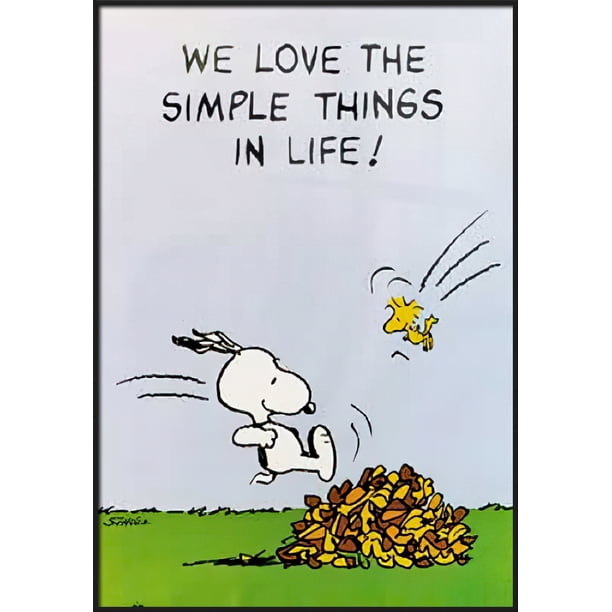 Peanuts Framed Tv Show Poster Snoopy Woodstock We Love The Simple Things In Life Size 25 X 37 Matte Black Plastic Frame Walmart Com