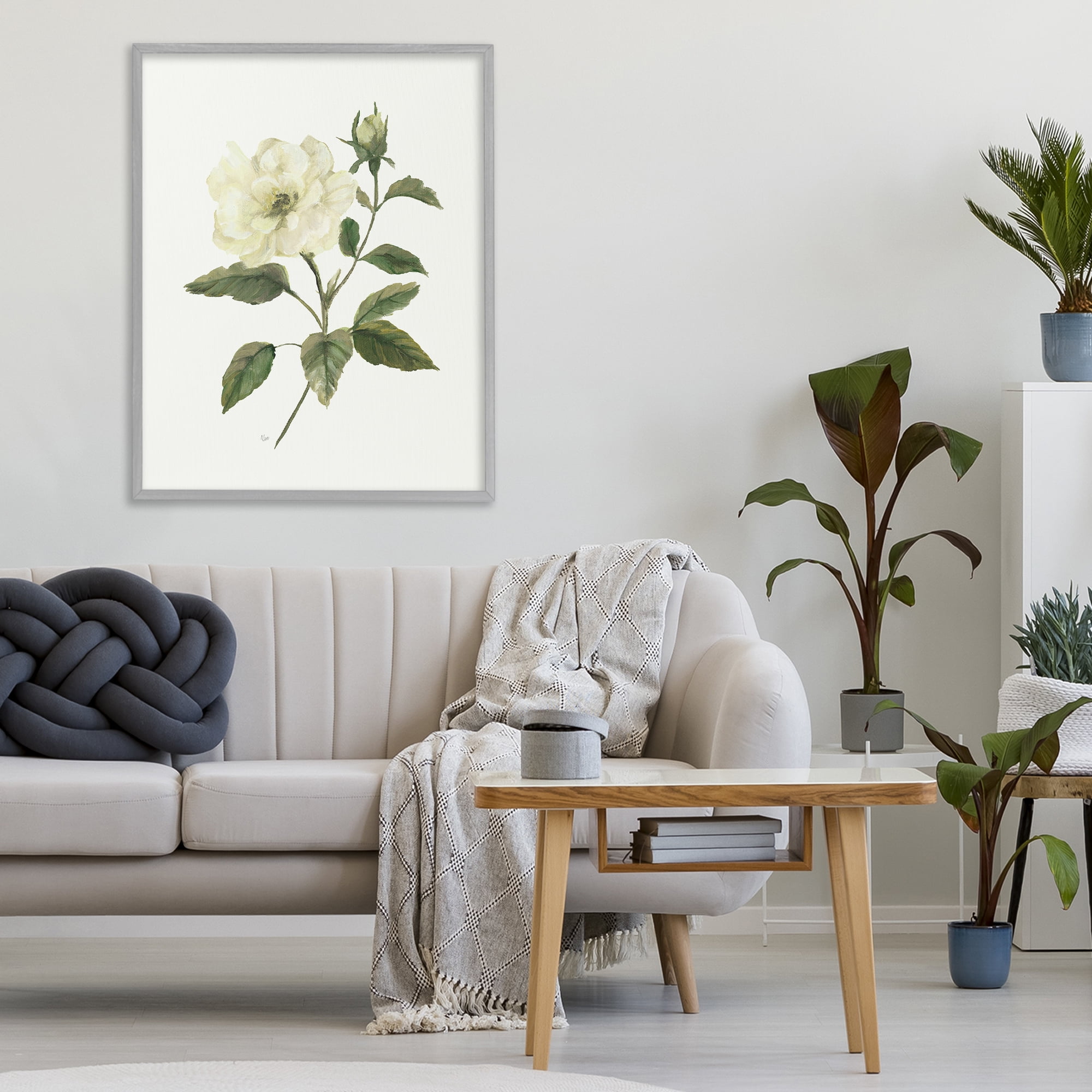 Stupell Industries Ivory Rose Bloom With Green Foliage Gray Framed Giclee Art, design by Nan