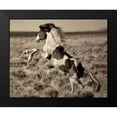 thumbnail image 2 of Dearing, Lisa 18x15 Black Modern Framed Museum Art Print Titled - Wild Painted Pony, 2 of 5