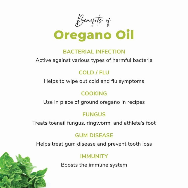 Oregano Essential Oil - Types & Benefits