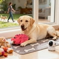 thumbnail image 3 of Durable Wild Boar Interactive Chew Toy for Aggressive Large Breed Dogs with Squeaky Teething and Long Lasting Cleaning Features, 3 of 5