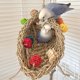 thumbnail image 4 of Bird Perch Swing Toy Parrot Chewing Toy Birdcage Bite Toy Small Medium Bird Tree House Hanging Nest for Lovebird Finches, 4 of 5