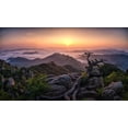 thumbnail image 2 of Seo, Tiger 32x20 White Modern Wood Framed Museum Art Print Titled - Sunrise On Top, 2 of 4