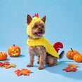 thumbnail image 2 of Vibrant Life Halloween Chicken Costume for Dogs and Cats, Yellow and Red, XS, 2 of 6