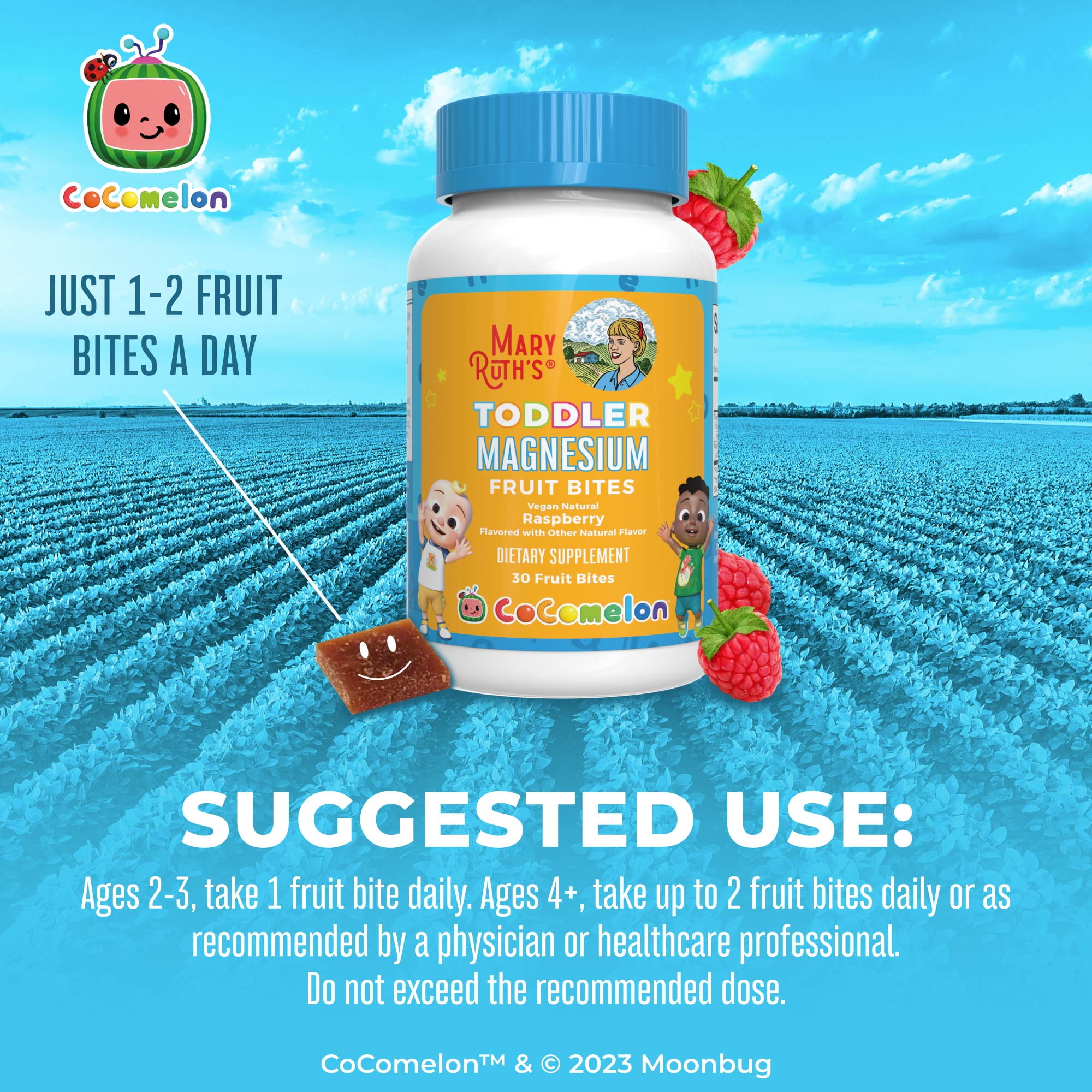 MaryRuth Organics Cocomelon Toddler Magnesium Fruit Bites, Calcium Absorption and Gut Health for Children's Health, 30 Count