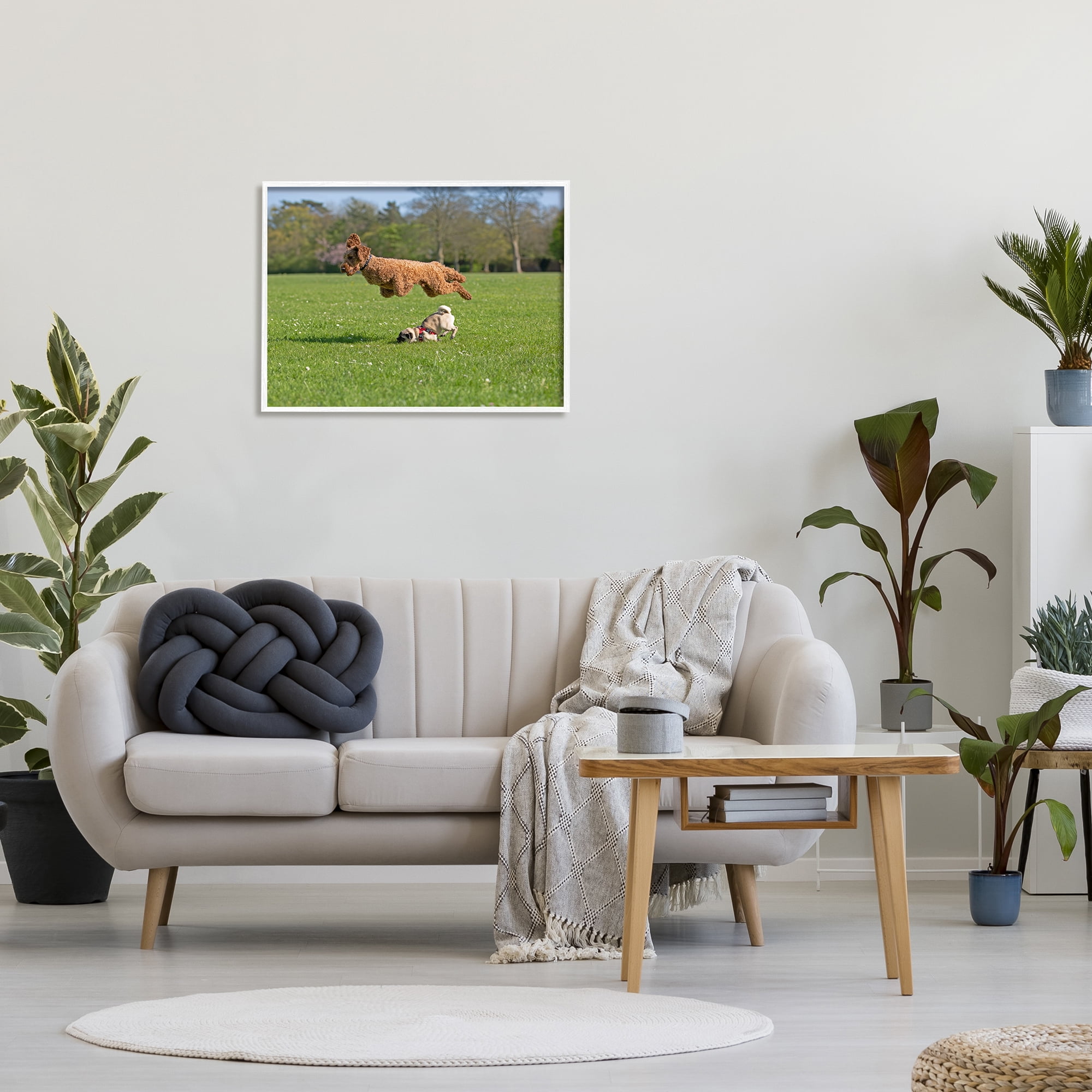 Stupell Industries Jumping Dogs in Field Animals & Insects Photography White Framed Art Print Wall Art, 30 x 24