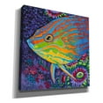 thumbnail image 2 of Epic Graffiti  'Brilliant Tropical Fish I' by Carolee Vitaletti Giclee Canvas Wall Art, 12"x12" 18 x 18, 2 of 3