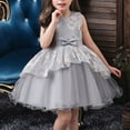 thumbnail image 6 of Odeerbi 1-4Y Toddler Girls Cute Dresses Small And Medium-sized Children's Party Dresses Skirt Performance Outfit Puffy Princess Skirt Baby Clothes Gray, 6 of 8