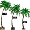 Wintergreen 5 Ft. MultiFunction LED Palm Tree, Indoor/Outdoor Use