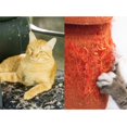 thumbnail image 4 of Cat Scratch Tape Double Side Cat Training Tape Kitten Scratch Deterrent Tape, 4 of 10