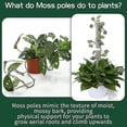 thumbnail image 3 of 8 Pieces Moss Pole Coir Moss Pole Stick Stackable Plant Stakes Monstera Plant Support Plastic Sphag-XinHan, 3 of 5