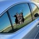 thumbnail image 5 of Pegatinas de baño pegatina de pared perro grieta coche pegatina nevera decoración del hogar Pitbull Dachshund Husky Bulldog grieta decoración del hogar JAMW Sencillez, 5 of 5
