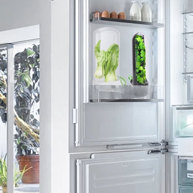 Herb Saver Resistencia A la Presió Multiusos Mantenga la Frescura Diseño Transparente Guardián de Hierbas Para Refrigerador, Para Cilantro, Espárragos y Vegetales