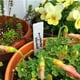 thumbnail image 4 of Naiovety 100 Uds. Etiquetas duraderas de PVC para plantas de exterior, solución fácil de identificación de plantas, belleza de jardines Jardín y Patio, 4 of 6