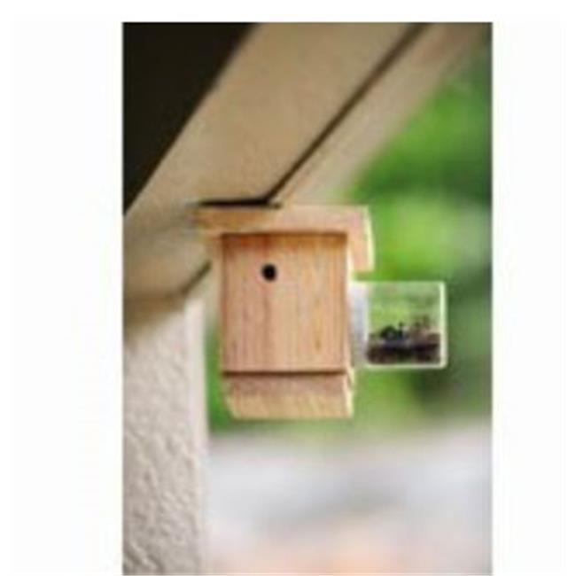Bees N Things BEESST Hanging Carpenter Bee Trap Walmart Canada