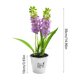 thumbnail image 3 of Hyacinth Bonsai Plastic Potted Plants Simulated Silk Flower Lifelike Home Decoration Suitable For Desktop Office And Wedding Centerpiece Decoration, 3 of 6