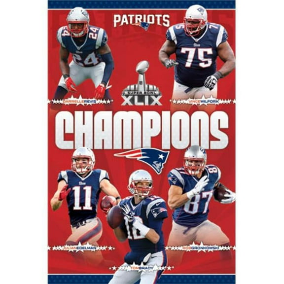 Posterazzi  Super Bowl Xlix - Champions Poster Print - 24 x 36 in.