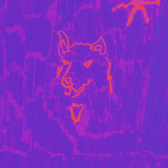 Dehd - Poetry - Music & Performance - CD