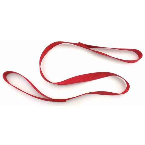Slip Leash (Red, 6 ft)