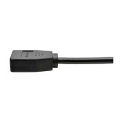 Tripp Lite HDMI to DisplayPort Active Converter 4K with USB Power, HDMI to DisplayPort (M/F), 4096 x 2160/4K x 2K @ 30 Hz, 6 in., Black