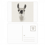 Disdain Alpaca Ears Pout Art Deco Fashion Postcard Set Birthday Mailing Thanks Greeting Card