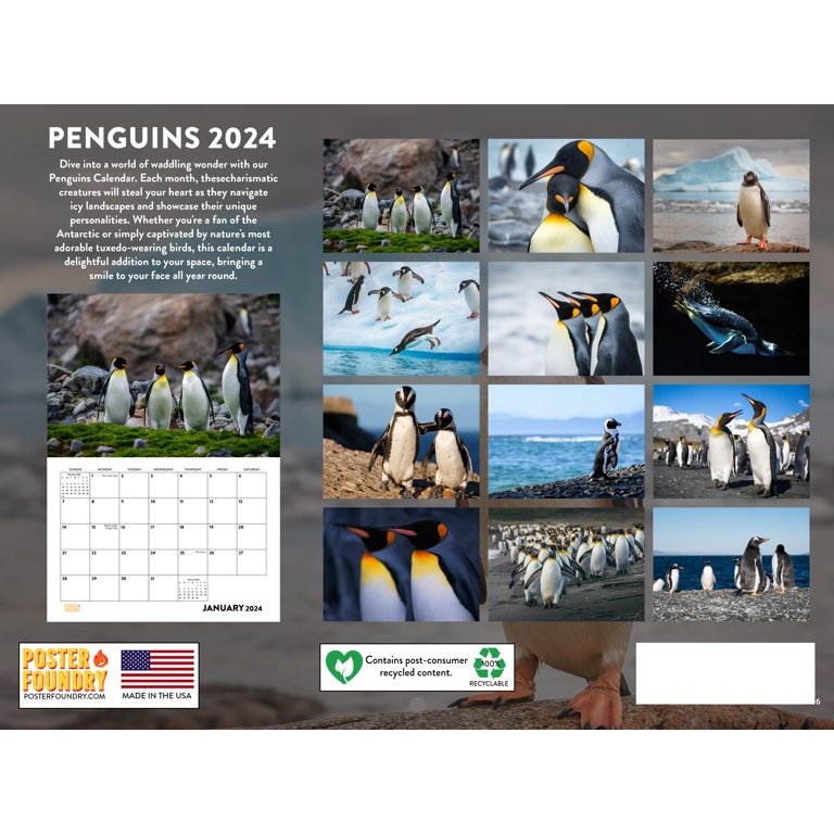 Penguin 2024 Wall Calendar - Walmart.com