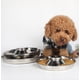 thumbnail image 3 of El cuenco para perros doméstico antivuelco es seguro, no tóxico y duradero de 30 cm., 3 of 3