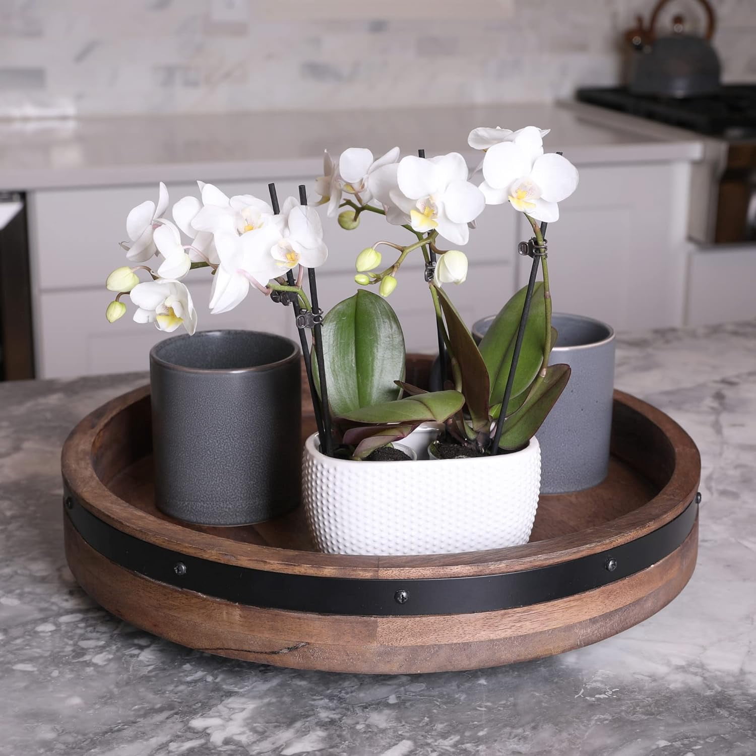 Just Add Ice 6-10" White and Yellow Mini Orchid Duo Live Plants in 4" White Ceramic Planter, House Plant