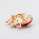 thumbnail image 4 of 2x Broche Pin de Forma Animal Cute Accesorios Sunnimix Broche de mariquita, 4 of 8
