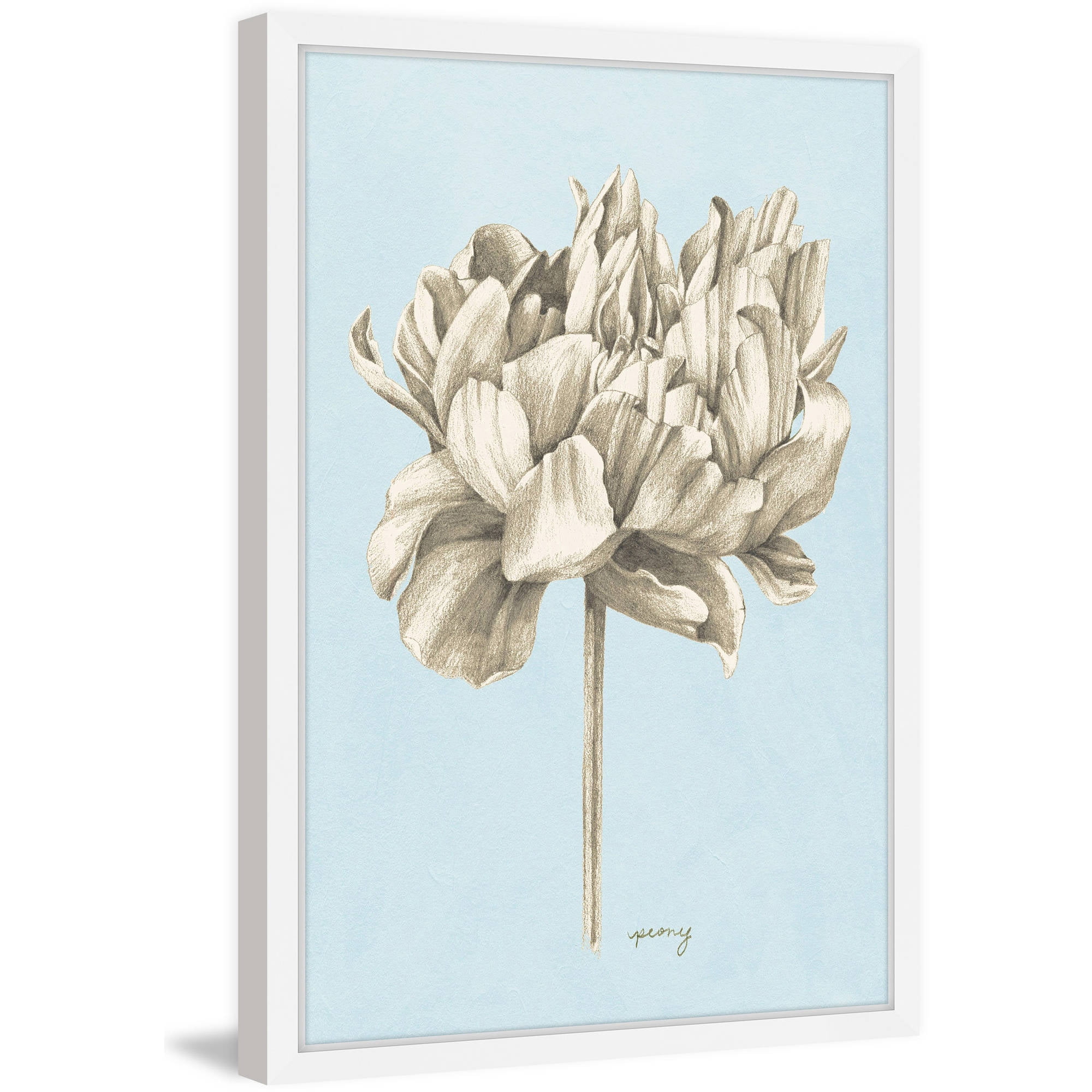 Marmont Hill Botanical Study IV Framed Wall Art