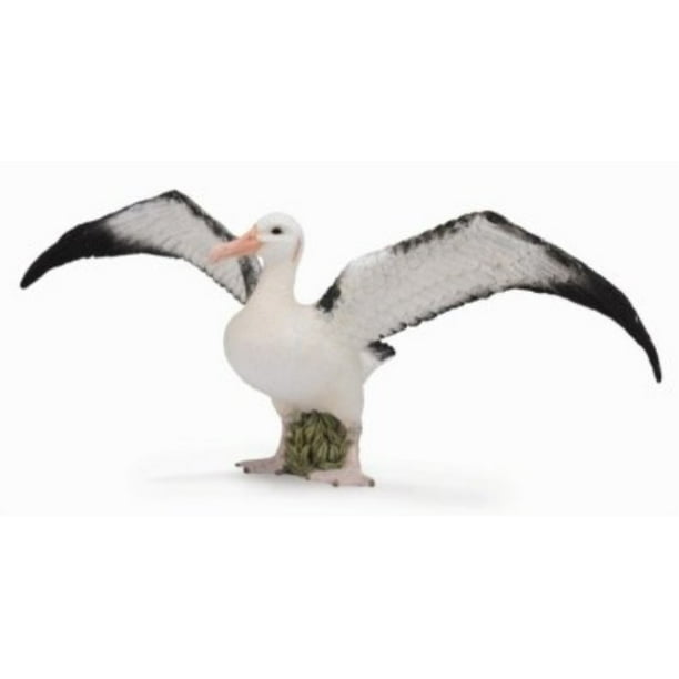albatross plush