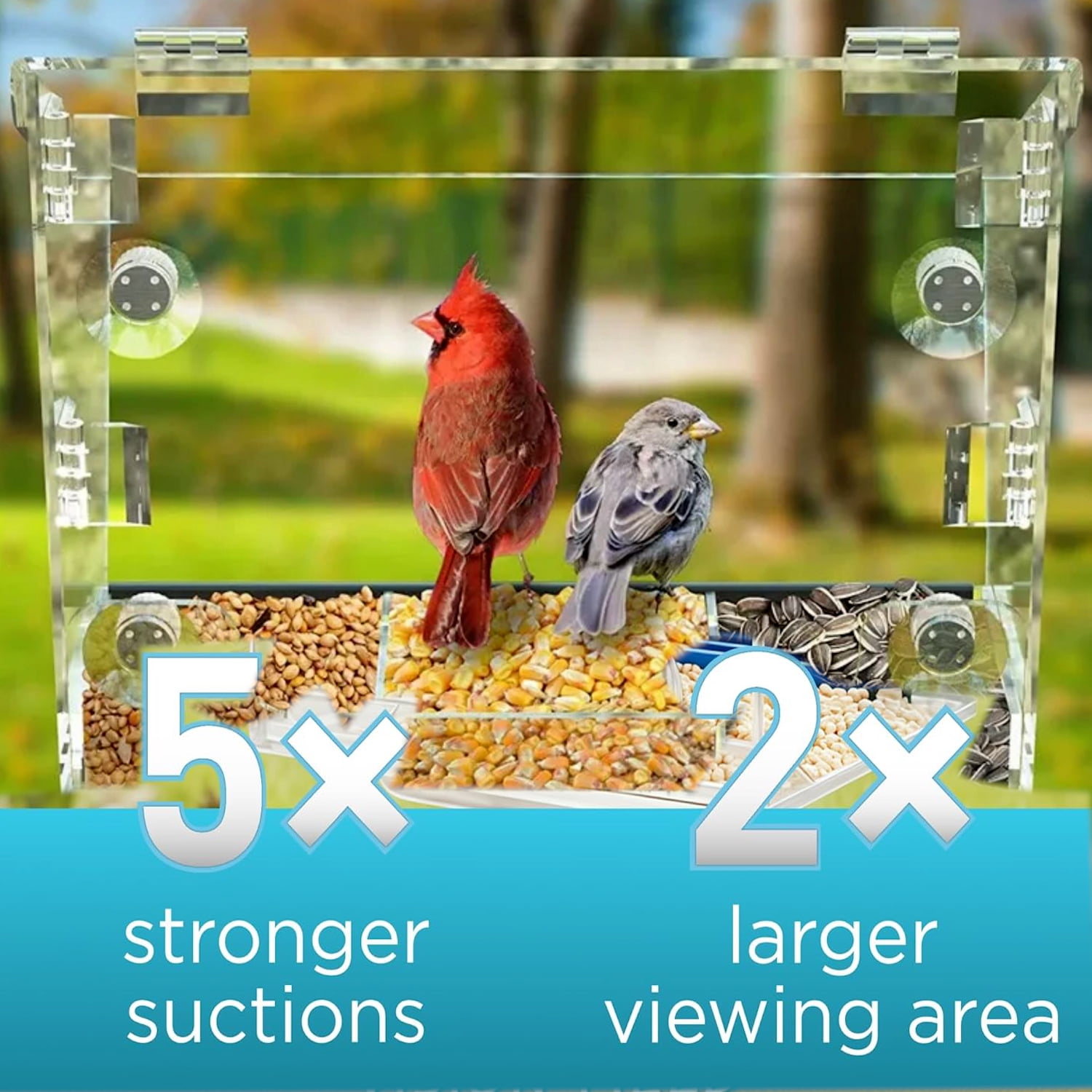 Window Bird Feeder with Strong Suction Cups – Acrylic Birdfeeder for Outdoor Wild Bird Viewing, Mounts on Window, Wall, or Bird Pole