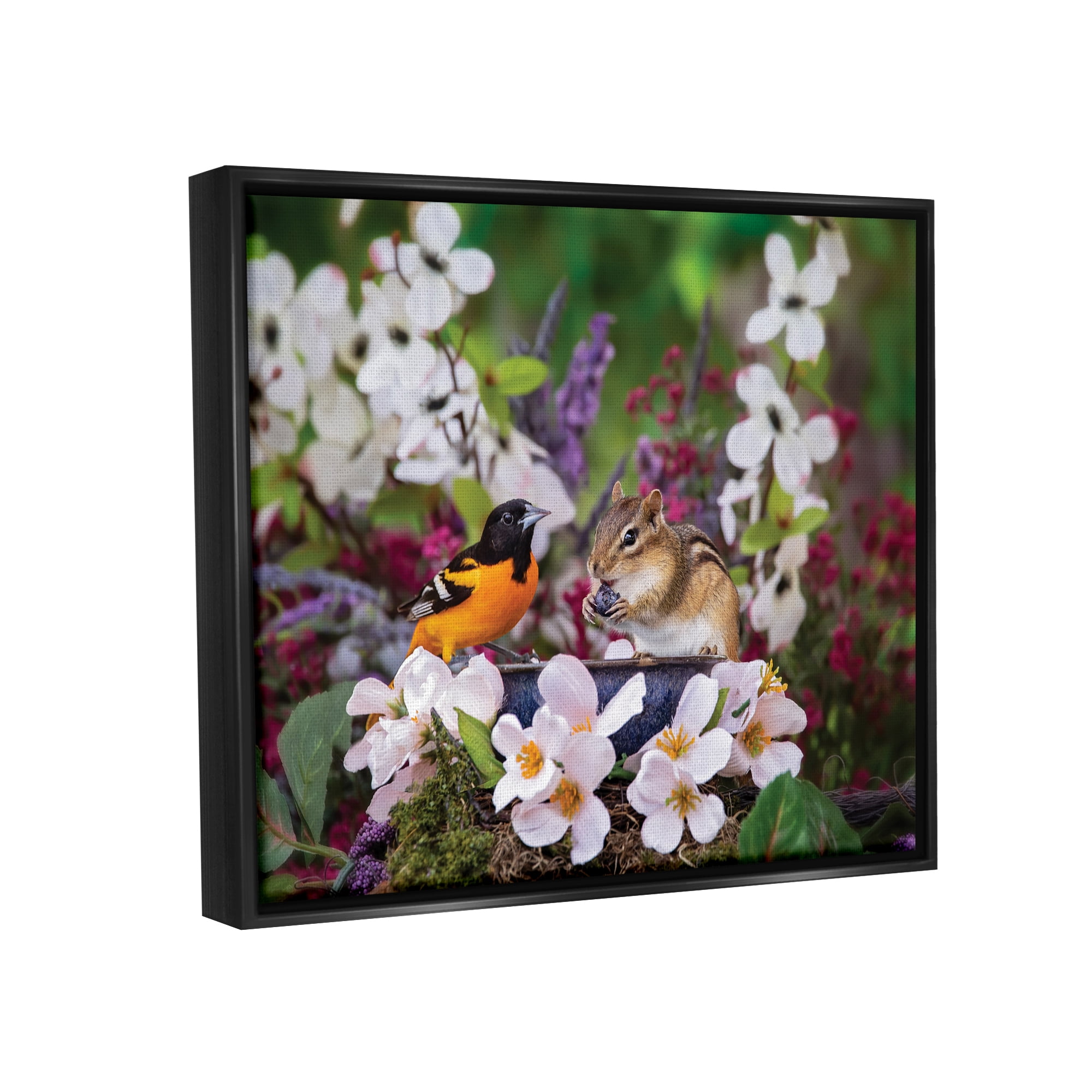 Stupell Industries Squirrel & Bird in Nature Animals & Insects Photography Black Floater Framed Art Print Wall Art, 21 x 17
