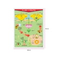 thumbnail image 2 of Póster Flor Y Fruto Educatodo B-0131-I, 2 of 2