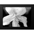 thumbnail image 2 of Schell, Jennie Marie 18x14 Black Modern Framed Museum Art Print Titled - Azalea Flower Macro Black and White, 2 of 5