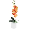 thumbnail image 6 of White Faux Orchid in Pot - Fake Potted Flowers, 6 of 7