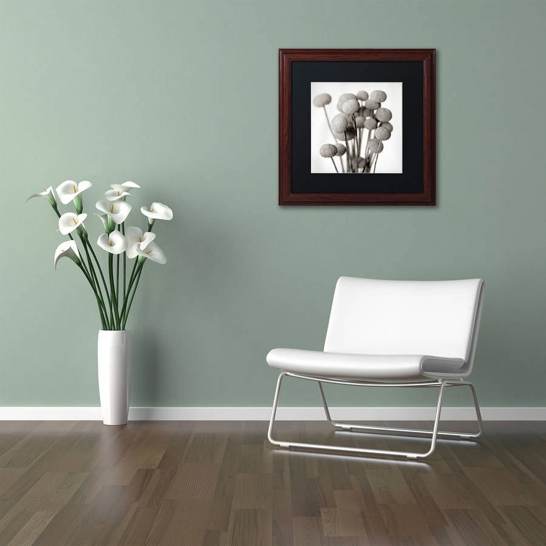 Trademark Fine Art "Florison 33" Canvas Art by Alan Blaustein, Black Matte, Wood Frame