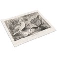 thumbnail image 3 of Print: Woodcock, 1871, 3 of 4