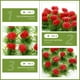 thumbnail image 5 of 1 caja de micro paisaje decorativo con flores, adorno para el hogar., 5 of 6