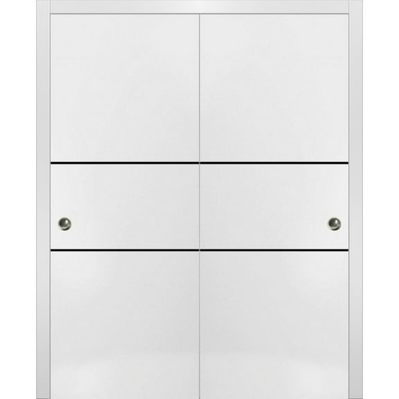 Sliding Closet Bypass Doors 36 x 80 inches | Planum 0014 White Silk with Frosted Glass | Sturdy Rails Moldings Trims Hardware Set | Wood Solid Bedroom Wardrobe Doors