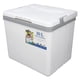 thumbnail image 1 of Caja De Hielo Pequeña, 10 Litros Con Aislamiento, Lonchera Dura, Lonchera Dura Para Hombres, Caja De Hielo Portátil Con Asa Para Acampar, Picnic, Pesca, Uso Comercial, 1 of 7