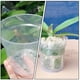 thumbnail image 4 of KAKOWELY 20 macetas transparentes para orquídeas, para viveros de interior, 4 of 5