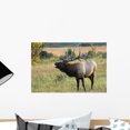 thumbnail image 1 of Bugling Rocky Mountain Elk Wall Mural by Wallmonkeys Peel and Stick Graphic (18 in W x 12 in H) WM230387, 1 of 4