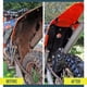 thumbnail image 5 of Fiudx Hidrolavadora Que Transforma La Manguera de Jardín En Una Potente Limpiadora. Boquillas Ajustables para Una Limpieza Versátil. Segura para Todo Tipo de Superficies: Aceras, Coches, Terrazas, Va, 5 of 6