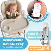 SnuggleBug 2-in-1 Infant Swing and High Chair