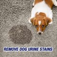 thumbnail image 5 of Resolve Destructeur d'Urine pour Enlever Taches et Odeurs, 22 Oz (Lot de 2), 5 of 5