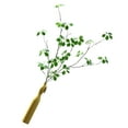 thumbnail image 4 of Planta de Hoja Artificial, Planta Falsa, Accesorio Fotográfico, Ramas Verdes Sinticas para Decoración del Hogar, Oficina, Sala de Estar, Porche, 4 of 7