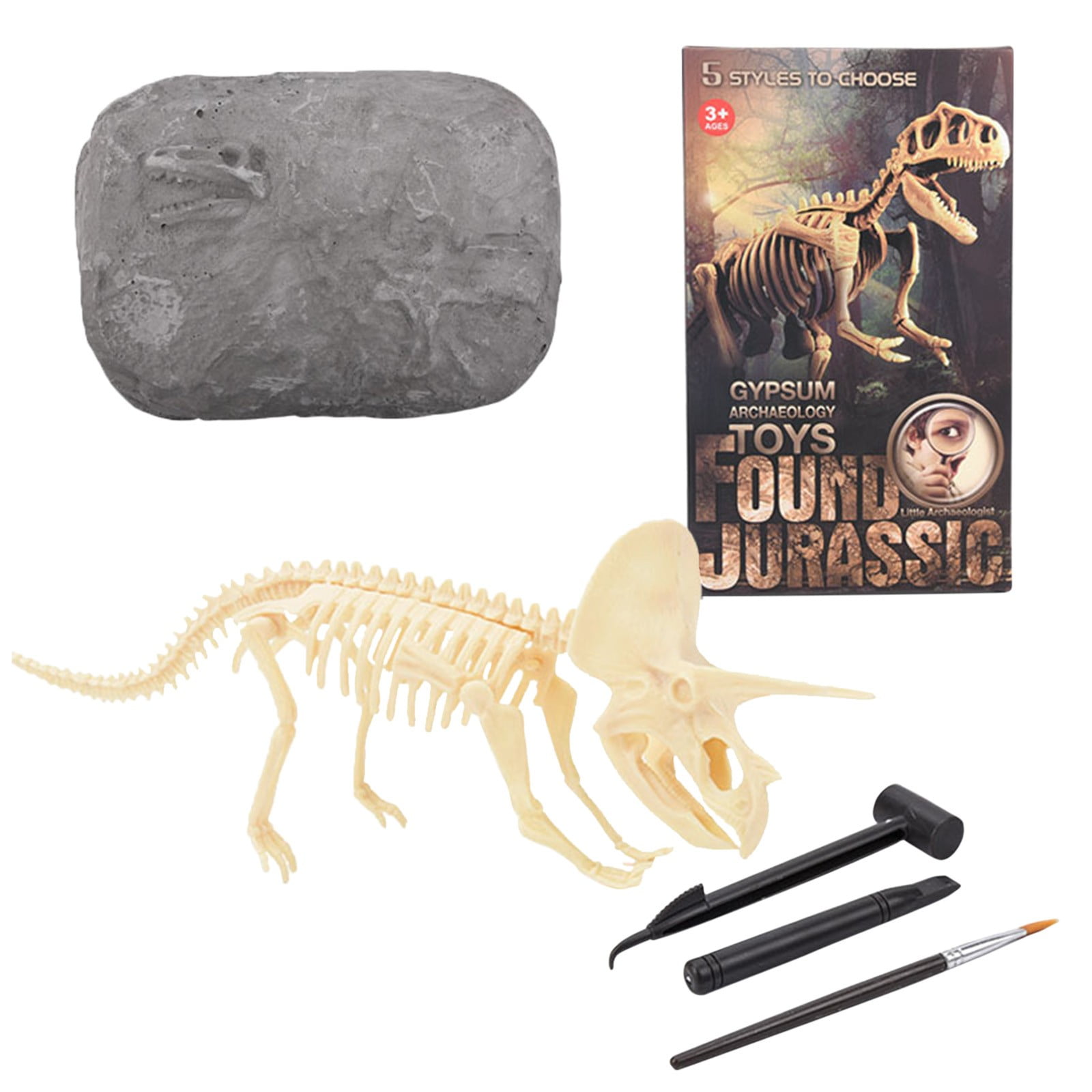 skeleton excavation kit